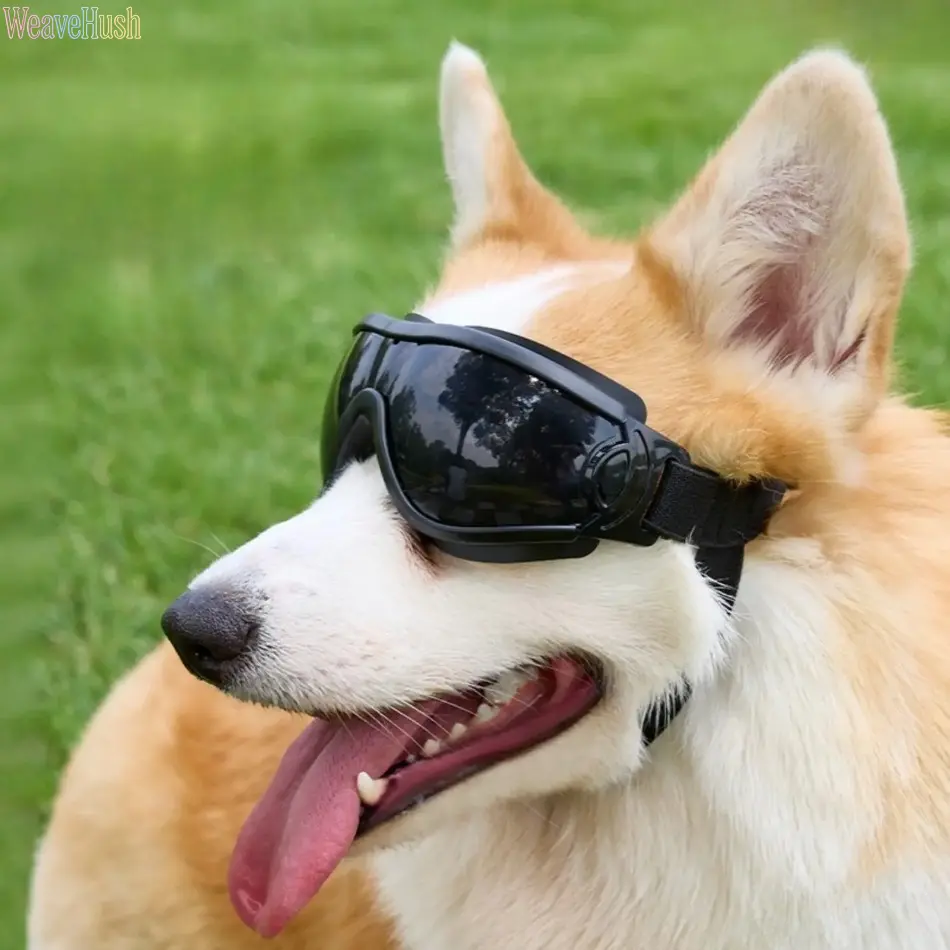 Adjustable Dog Goggles UV400 Protection, Windproof Anti-Fog Sunglasses for Small to Medium Pets, Outdoor Riding and Skiing Eye Protection