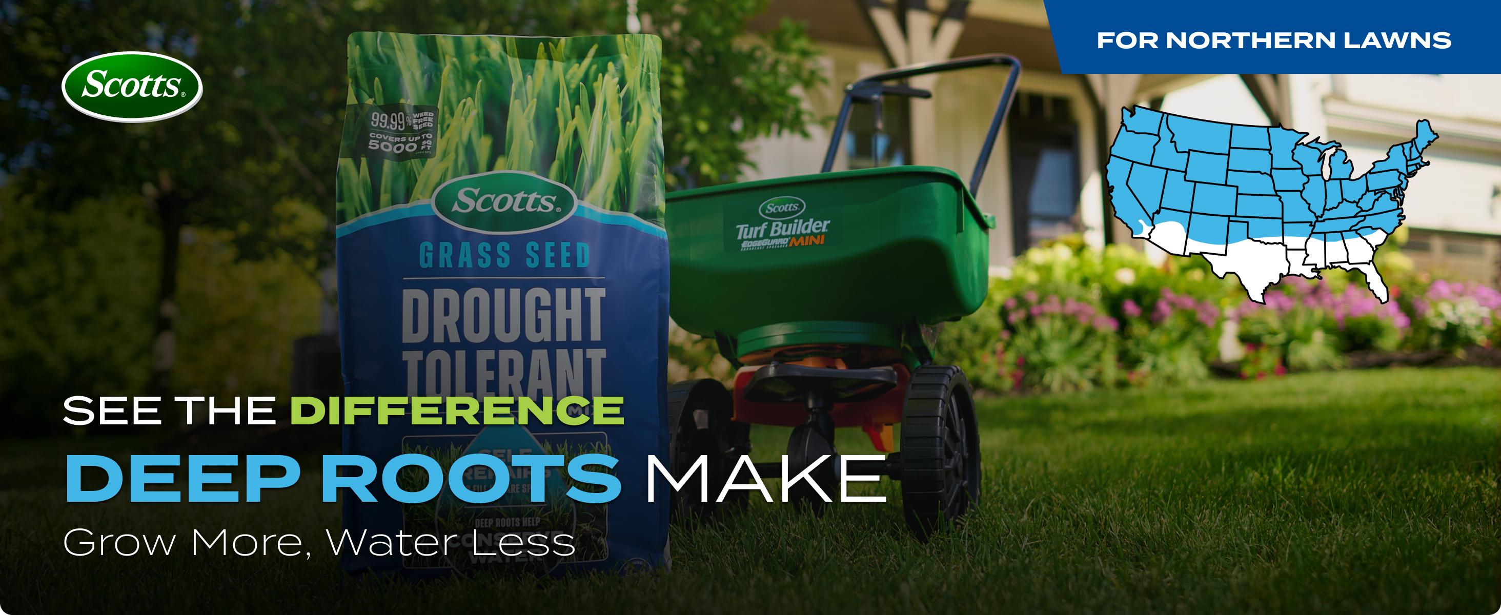 Grass Seed Drought Tolerant Mix, Kentucky Bluegrass and Tall Fescue Grass Seed Mix, Covers up to 5,000 sq.ft., 10 lb. Grass Seed Drought Tolerant Mix, Kentucky Bluegrass and Tall Fescue Grass Seed Mix, Covers up to 5,000 sq.ft., 10 lb.