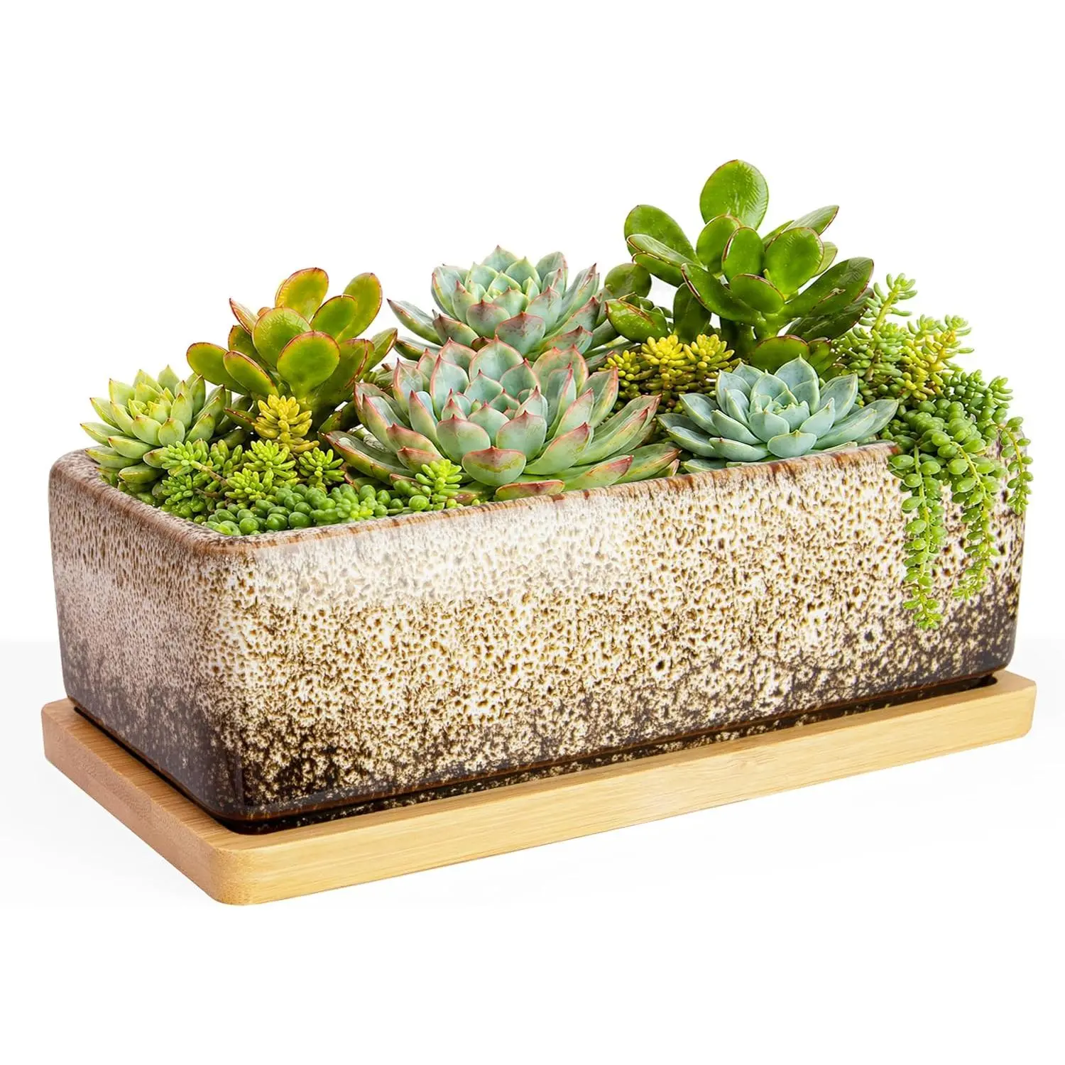 Succulent Pots - 7 Inch Large Succulent Planters with Drainage Tray, Window Sill Planter, Long Rectangle Ceramic Pots for Indoor Cactus  Shallow Bonsai Window Box for  Garden Decor