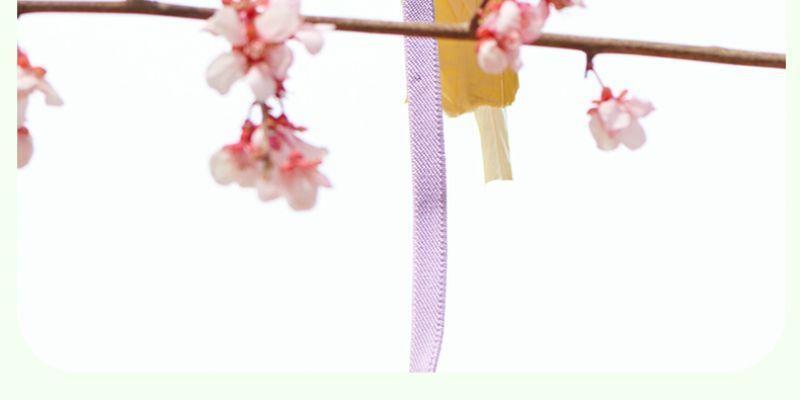 Adjustable Bird Harness Leash 2m Hand Rope Safe Escape Proof for Parrots Conures Cockatiels Outdoor Training Walking Pet Supplies