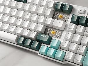 RK ROYAL KLUDGE RK96 RGB Limited Ed, 90% 96 Keys Wireless Triple Mode BT5.0/2.4G/USB-C Hot Swappable Mechanical Keyboard w/Wrist Rest, Software Support & Massive Battery, RK Yellow Switch, Camp Green