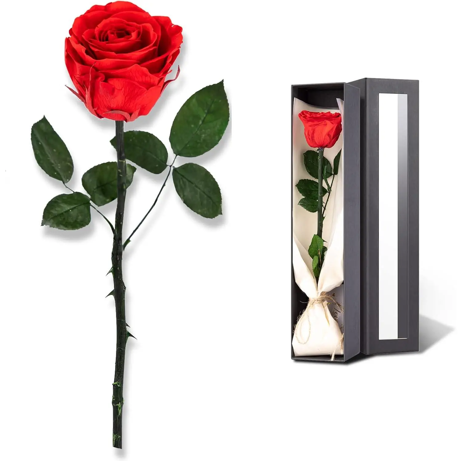 for Delivery , Preserved Roses Flower Gifts for Women, Real Roses Single Rose Presents for Her, Mom Birthday Gifts from Daughter, Valentines  Red Roses