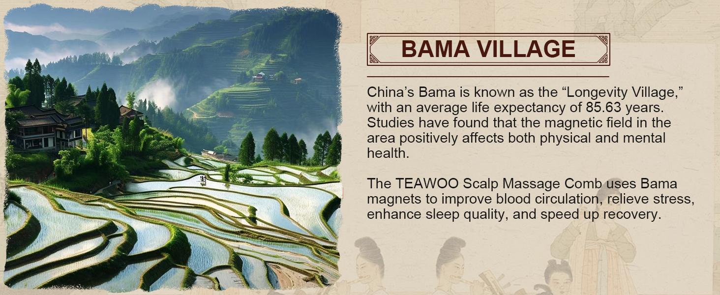 2PCS Anti Dandruff Comb, Scalp Detox Comb for Scalp Build Up, Sweep Dandruff Removal Brush for Hair Care (Patented)