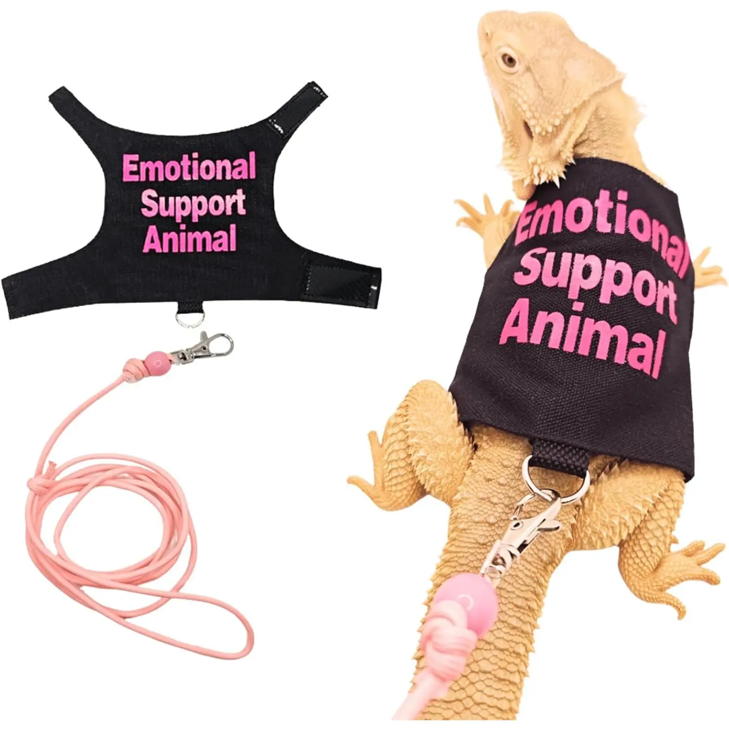 Bearded Dragon Harness with Leash & Handmade Walking Clothes Set Pack, Small Reptile Accessories for Guinea Pigs, Collars & Harnesses & Leads Pet Supplies