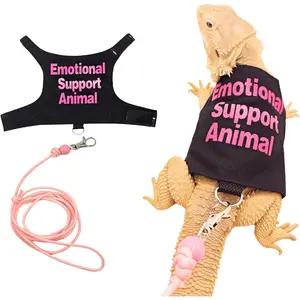 Bearded Dragon Harness with Leash & Handmade Walking Clothes Set, Small Reptile Pet Supplies for Guinea Pigs, Harnesses