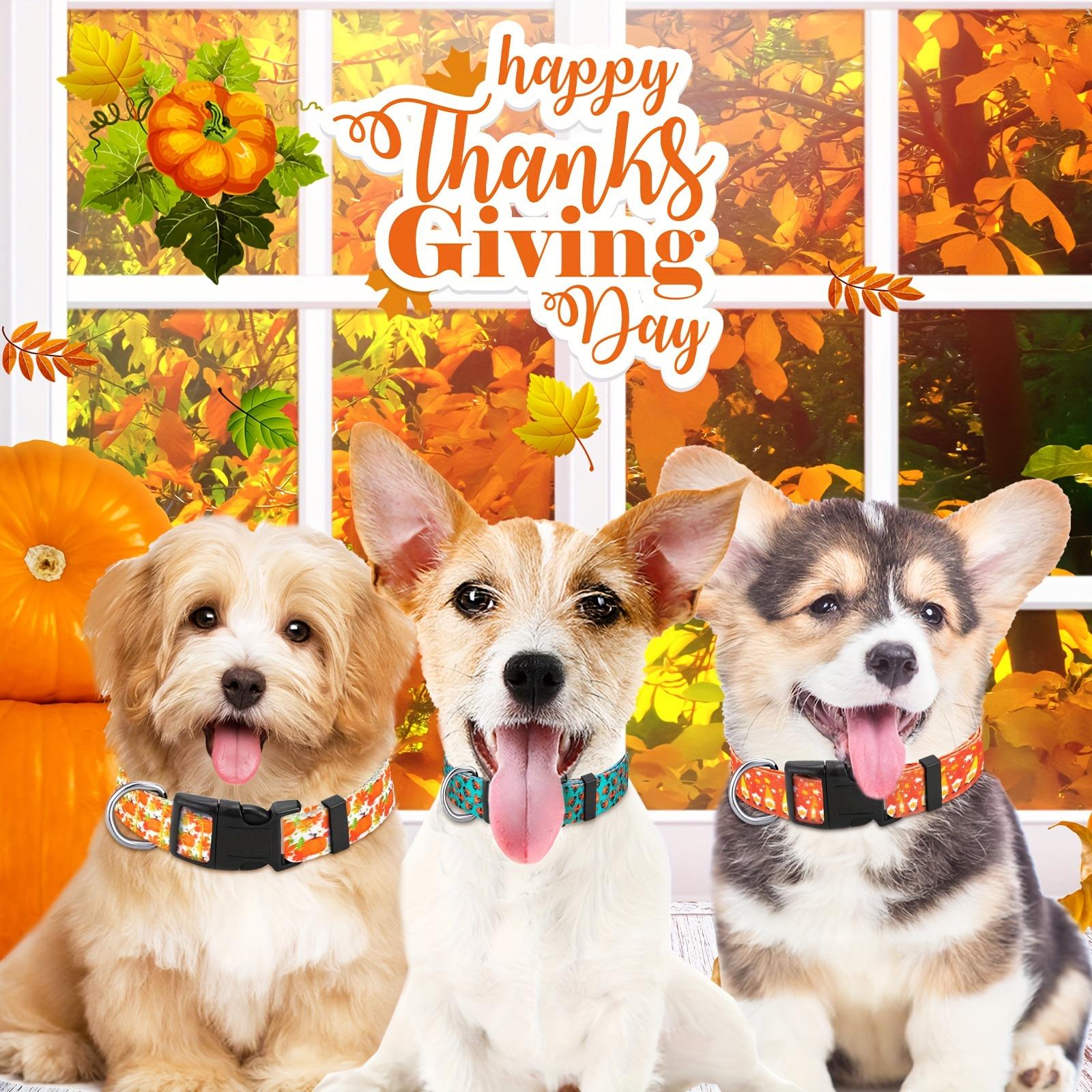 6 Pcs Thanksgiving Fall Dog Collar For Puppy Extra Small Medium Large Dogs Nylon Adjustable Lightweight Basic Cat Collars Pumpkin Maple Leaf Patterns Safety With Plastic Buckle (Small)