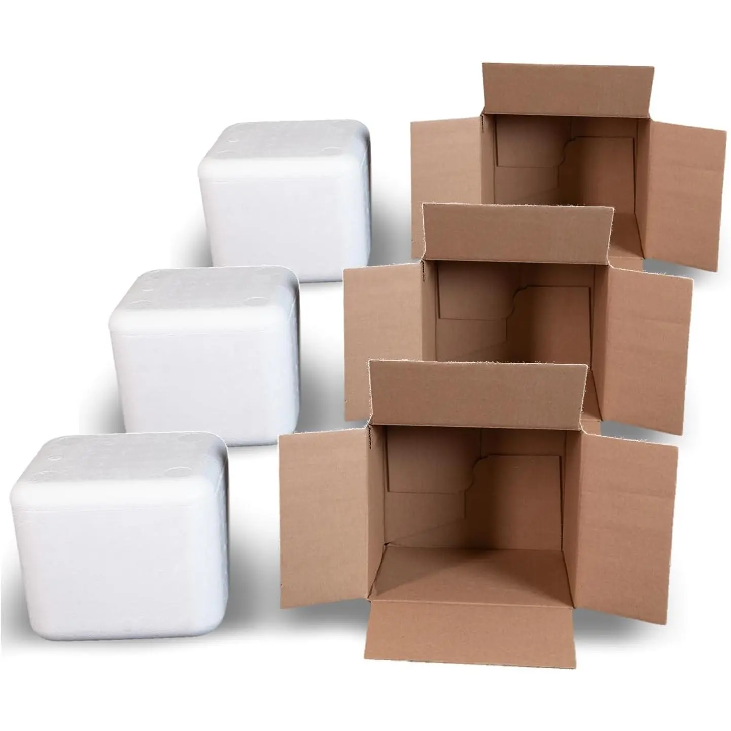 II EPS Foam Cooler (Outside Dimensions: 9” x 8” x 7.5”) with Shipping Box - 3 Pack, Protective, Thermal, Insulated, Biodegradable, Recyclable, Shipping/Storage