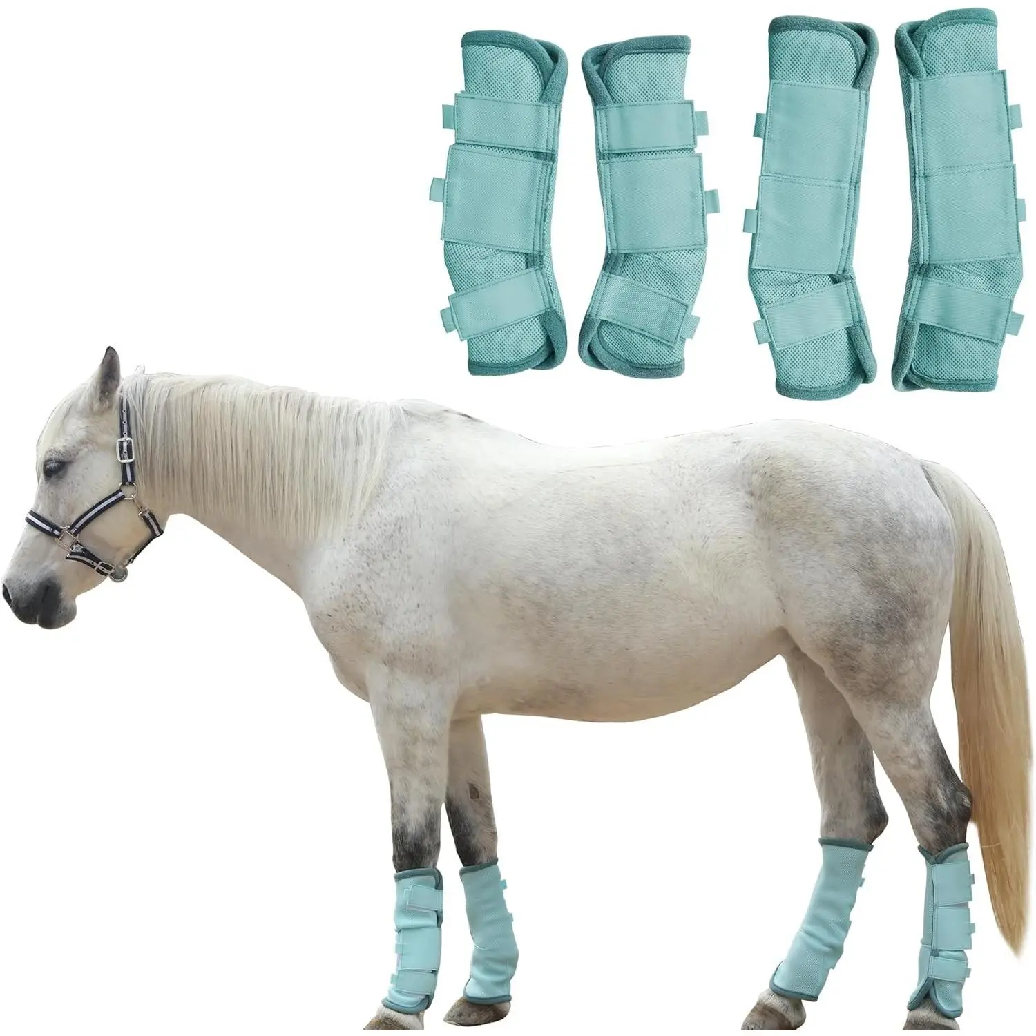 Adjustable Set of 4 Breathable Mesh Horse Fly Boots Equine Leg Protection Reduce Stomping Horse Leg Guards Leggings Aqua Blue Full