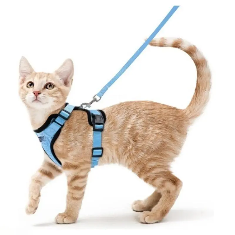 Anti-Escape Cat Vest Harness with Matching Leash, Adjustable Breathable Mesh Pet Jacket with Night Reflective Strips, Comfort Safe Walking Training Gear for Indoor & Outdoor Cats, Summer Wins Pet Daily Accessory