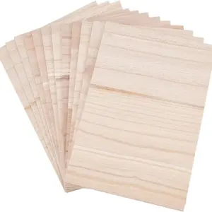 Taekwondo Wooden Breaking Boards - Karate Kick Boards for Training, Grading & Performance, 10PCS