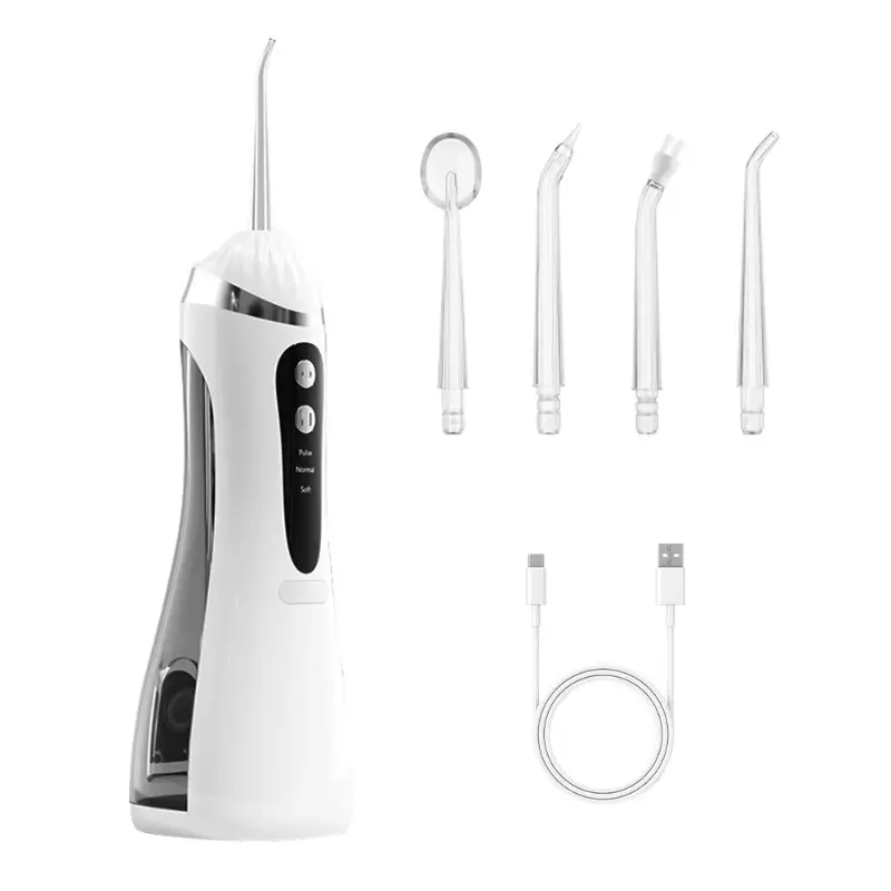 Rechargeable Tooth Cleaner, Dental Water Flosser with LED Light, Oral Hygiene Kit with 4 Replaceable Heads, Type-C Charging, Ideal Christmas Gift