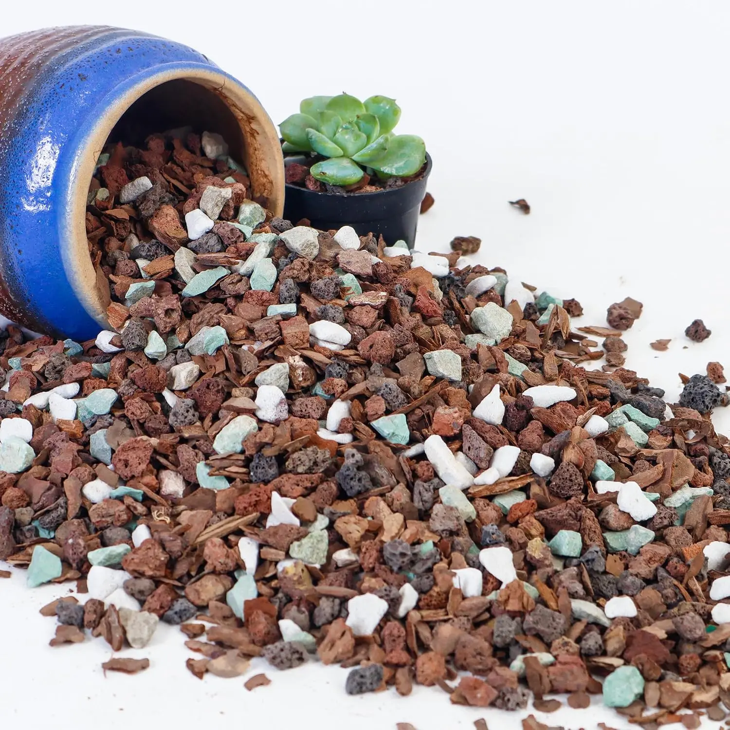 Bonsai Soil 2QT, Draining  Potting Soil Mix Perlite,Lava,bark,Volcanic Rock,Green Zeolite, Pre  Bonsai Soil for Potted