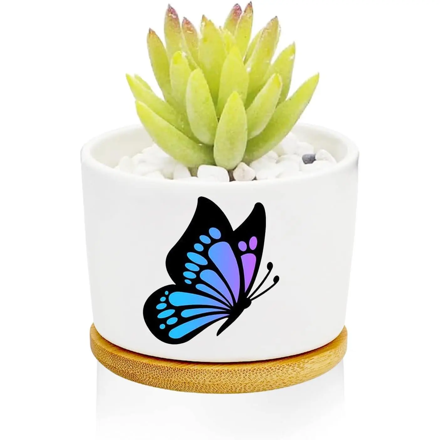 1 count Butterfly Planter Pots with Drainage and Tray, Ceramic Pot 3 Inch | Small Planters for ,Decoration for Outdoors,,Office,Window,Garden, Gifts for Women Men (No  Included)