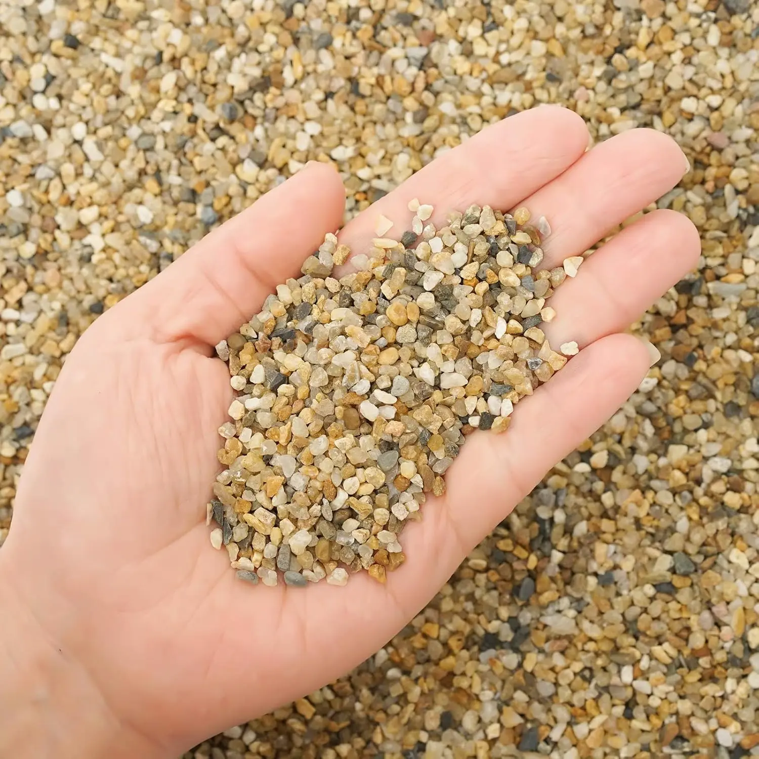 Coarse Sand Stone 1LB Decorative Rocks, Mix Coarse Sand for Plants, Soil Cover Bonsai, Succulent, Terrarium, Garden, Cactus Sand, Aquarium, Fairy Garden, DIY.fidget toys