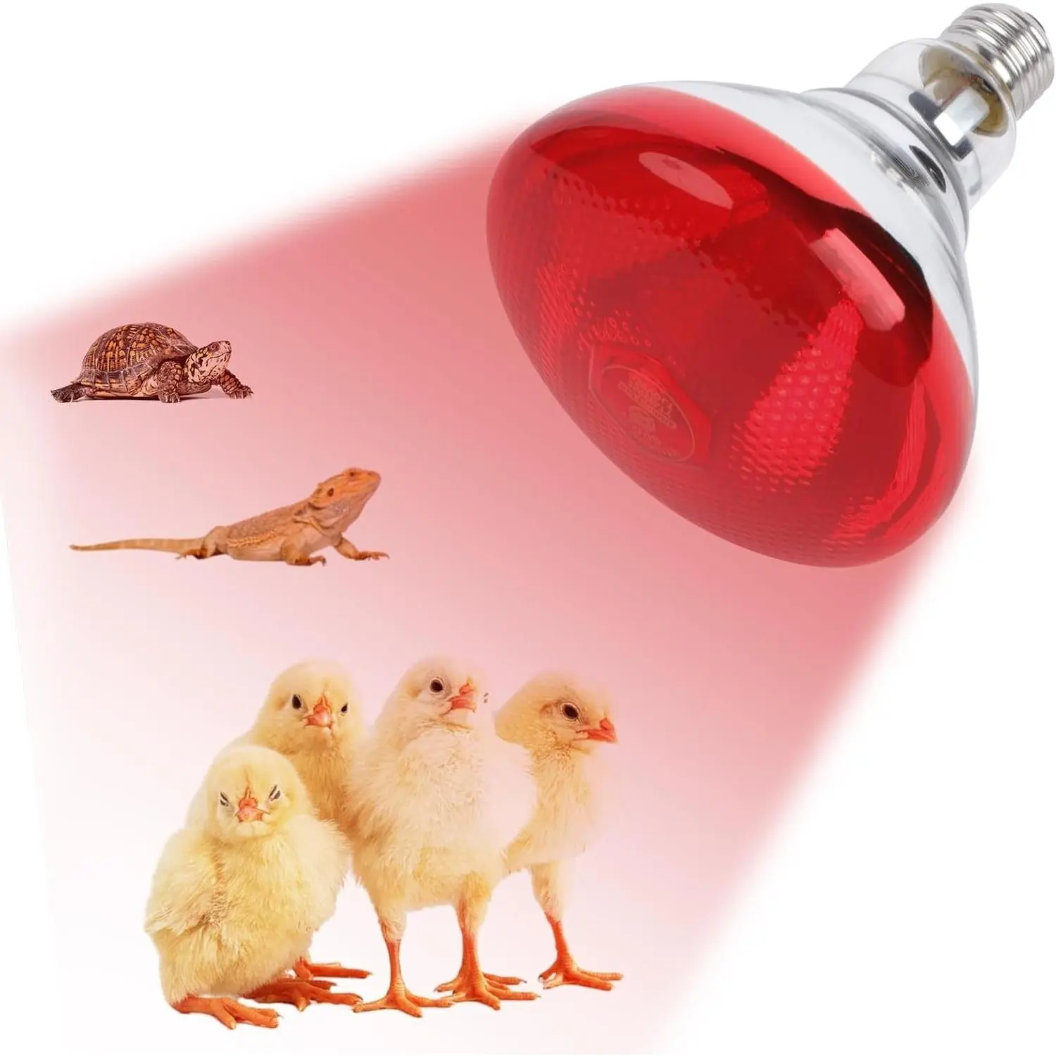 250W Red Infrared Heat Lamp Bulb, PAR38 Glass E26 Base Incandescent Flood Light Brooder Lamp for Chicks, Chickens, Reptiles & PetsGift