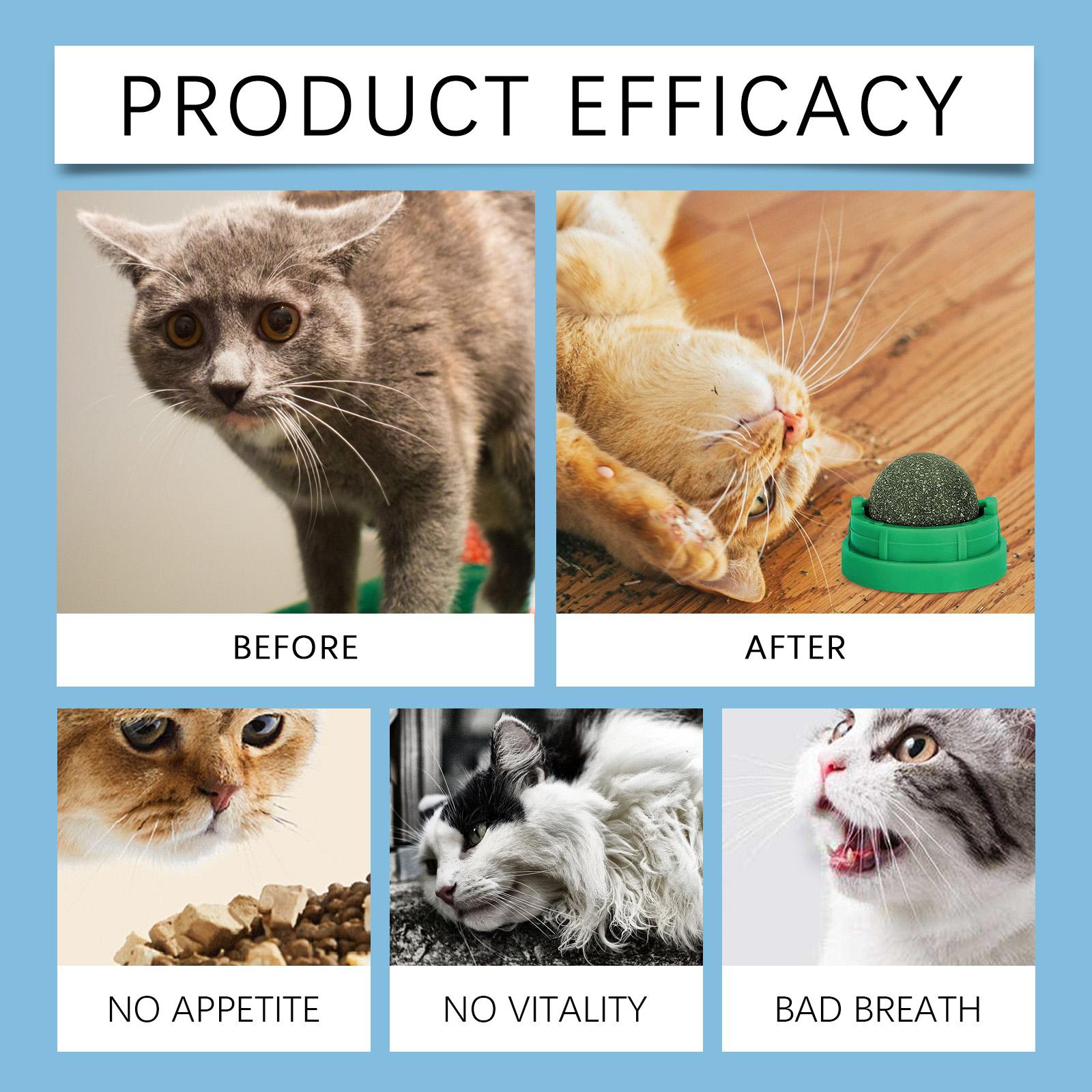 Mint-Flavored Rotating Cat Ball Toy, Chew Toy Tooth Cleaning Care Rotating Mint Ball