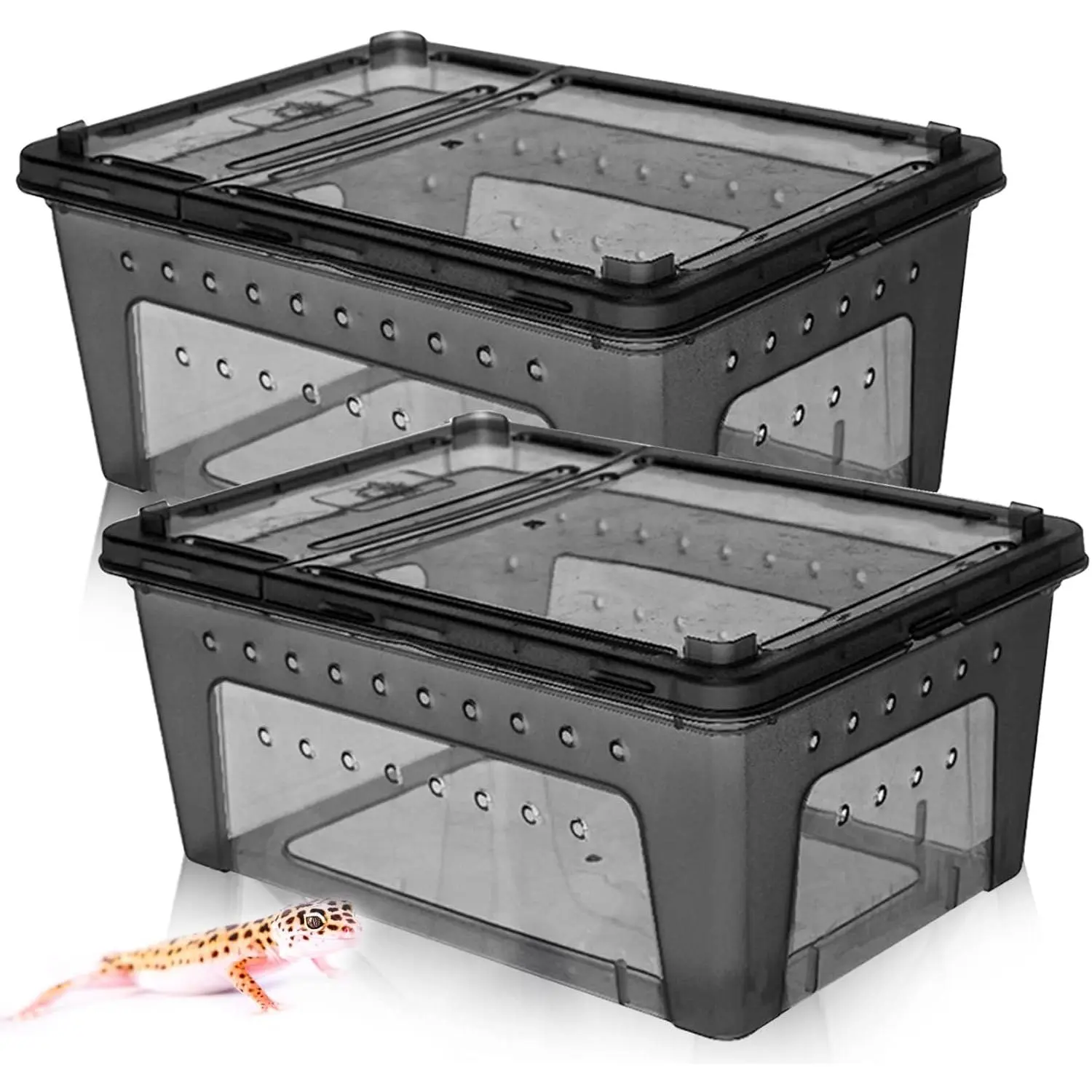 2-Pack Transparent Plastic Reptile Breeding Cage Set, Easy Transport Terrarium for Snakes/Lizards, Suitable for Turtles, Spiders, Frogs, Scorpions, Geckos