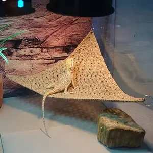 3pcs/set Suction Cup Fixed Woven Hammock, Hamster Toy, Iguana Pet Sleeping Climbing Net, Constant Temperature Box, Swing Climbing Web