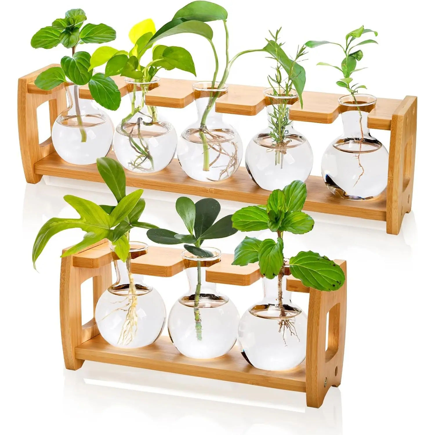 2 Pack Propagation Stations with Bamboo Stand, 8 Bulbs Desktop Water Plant Terrarium Vase, Retro Plant Propagation Jars for Indoor Plants, Glass Planter Gifts for Home Office Table Decor