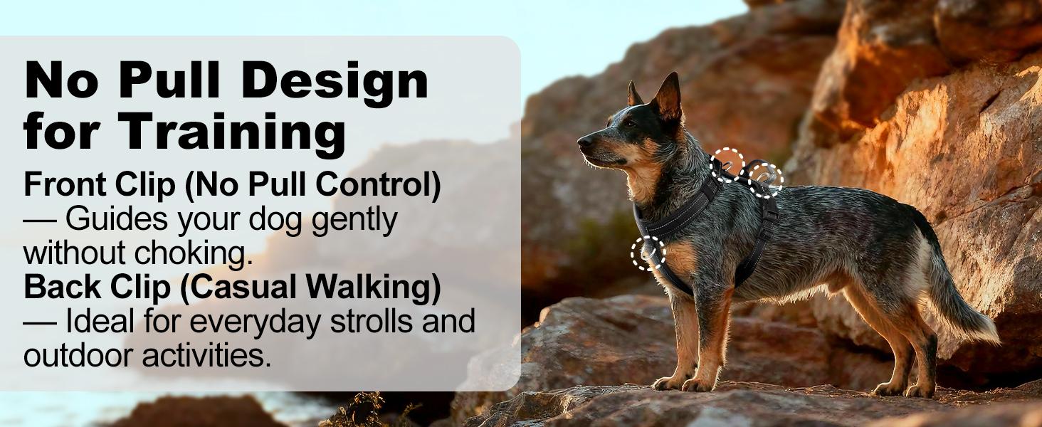 No Pull Dog Harness with Handle, Soft Mesh Padded Adjustable for Small Medium Large Dogs| Reflective Easy Walk Harness with Front Clip for Training, Running & Outdoor (Black, L)
