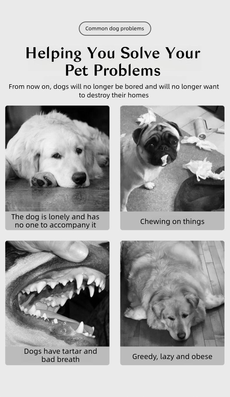 Durable Bear Dog Toy – Chew-Resistant Plush, Built-In Dental Ribs, Indestructible for Heavy Chewers (Squeaker Inside)