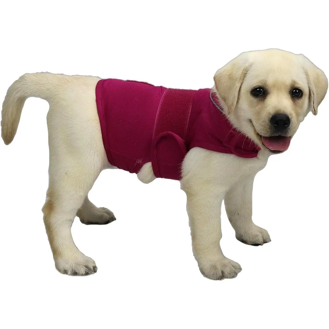 Dog Anxiety Relief Coat, Dog Anxiety Calming Vest Wrap for Thunderstorm,Travel,4th of July Fireworks,Vet Visits,Separation Anxiety Relief for Dogs (S, Rose)