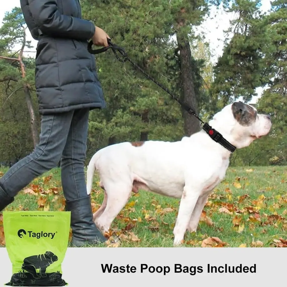 Reflective Dog Leash, Comfortable Round Rope, Non-Irritating Pet Harness, Durable Puppy Lead, Easy-To-Use Walking Strap