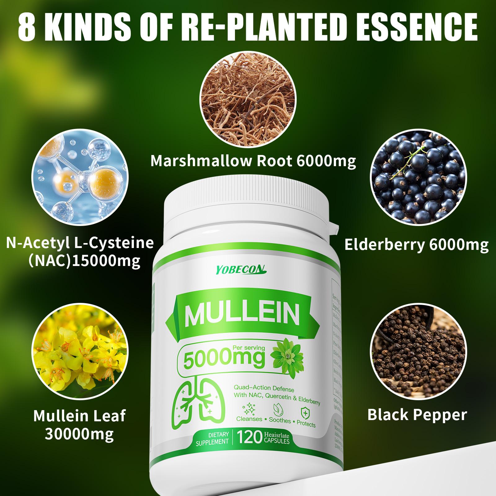 Heaisrlate 5000mg Mullein & NAC Supplement for Mucus Removal, Dry Cough Support, Respiratory Health & Immune Boost, Antioxidant-Rich Formula with Mullein Leaf & NAC for Year-Round Airway Care, Allergen-Free