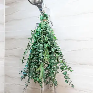 3kinds  Eucalyptus Stems 12 count - 17inch Eucalyptus Set for Shower Bundle Real Eucalyptus Leaves Branches Vase Filler, Dried  Arrangement  Decor Wedding Decor (12PCS-17INCH)