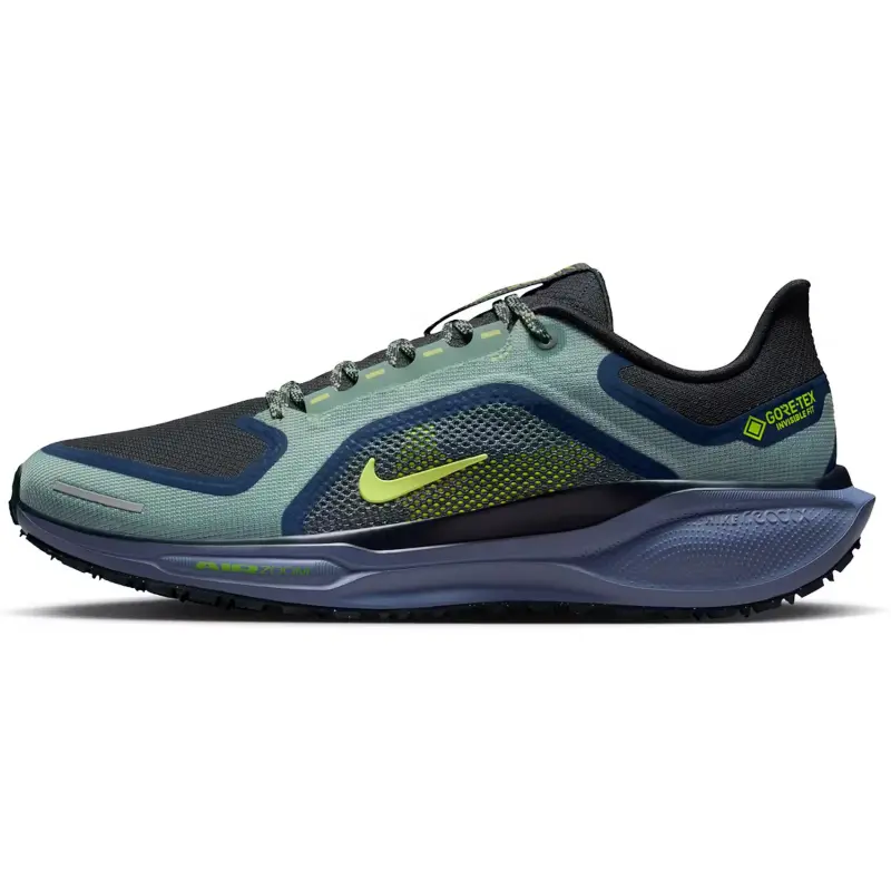 Nike Air Zoom Pegasus 41 GORE-TEX 'Cannon Obsidian' FQ1356-006