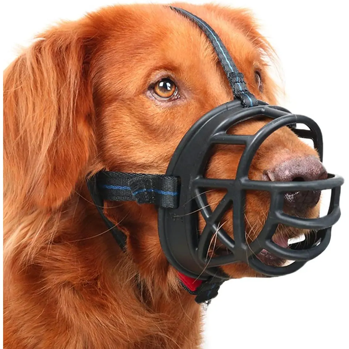 Basket Shape Dog Muzzle for Small, Medium, Large Dogs - Breathable, Anti-Bite & Anti-Chew Design, Soft Padding, Adjustable Strap, Drinking Allowance Pet Accessory