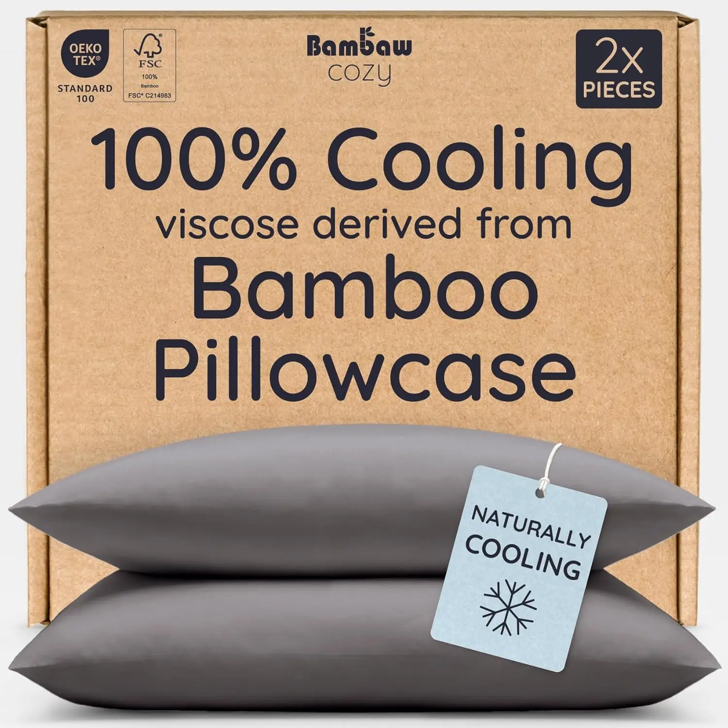 100% Viscose Derived from Bamboo Pillow Queen Size Set of 2, Queen Cooling Pillow with Envelope Closure, Breathabluper Soft Pillow, Anti Acne Pillow (Dark Gray)