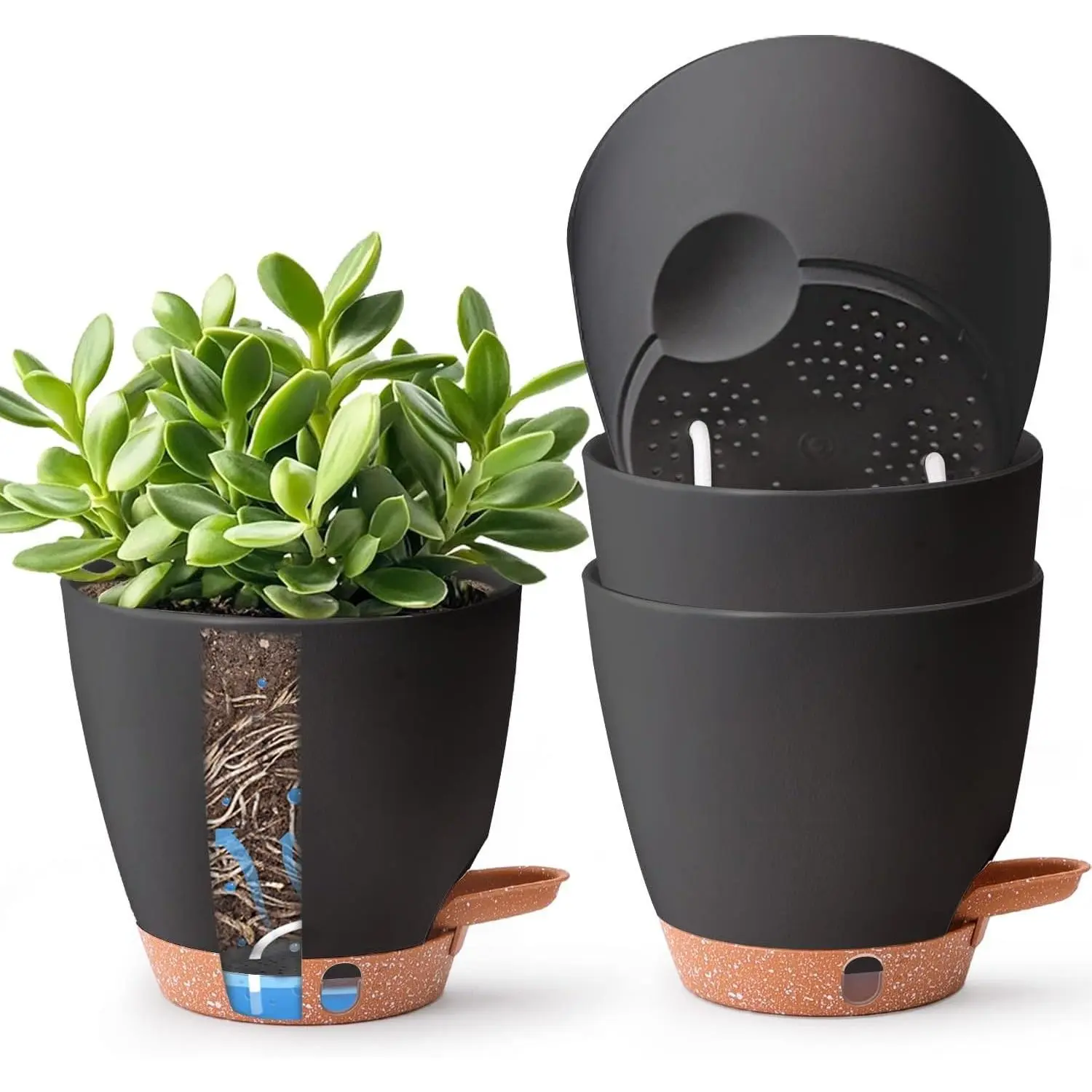 6 Inch Self Watering Pots for Indoor Plants - Mess-Free Bottom Watering Planter for Herbs/Pothos/Succulent Plants, Indoor Outdoor Use (Black, 4 Pack)Gift.