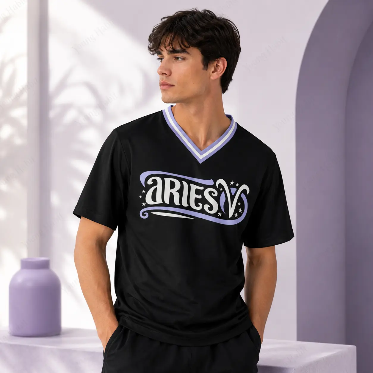 12 Zodiac Sign Graphic V Neck Jersey Shirt, Aries Astrology Horoscope Sports Tee, Black Purple Short Sleeve Top, Astrology Symbol Front and Back Shirt, Birthday Gift for Men Women, Summer Streetwear Outfit, Celestial Star Sign Fan Jersey Daily Wear