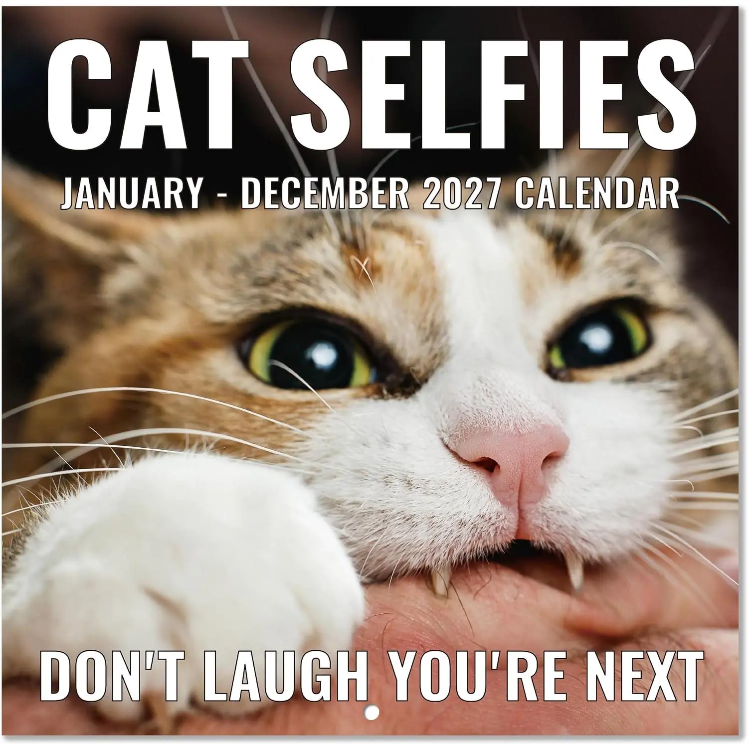 2027 Wall Calendar - Funny Cats Calendar 2027, 12" x 24" (Open), Jan 2027 - Dec 2027, 12-Month Calendar, Lovely  Selfies Calendar, Unruled Blocks, Thick Paper,  Hole, Holidays Reminder