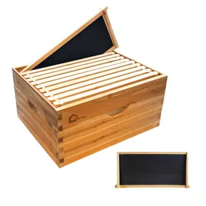 GARVEE 10 FrameDeep Brood Box, Langstroth Beehive Deep Box Dipped In 100% Beeswax, Bee Hive with Beehive Frames and Wax Foundations for Beekeeping Supplement