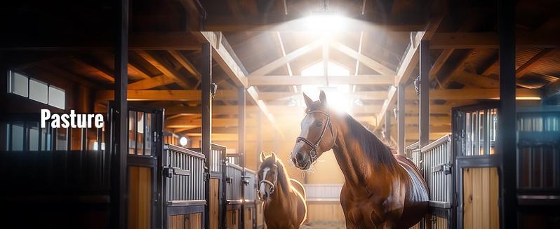 Solar Lights Indoor Outdoor 1000LM Solar Shed Light, IP65 Waterproof Pendant Lights Motion Sensor, Remote for Barn Patio Chicken Coop Gazebo Garage Security Lighting