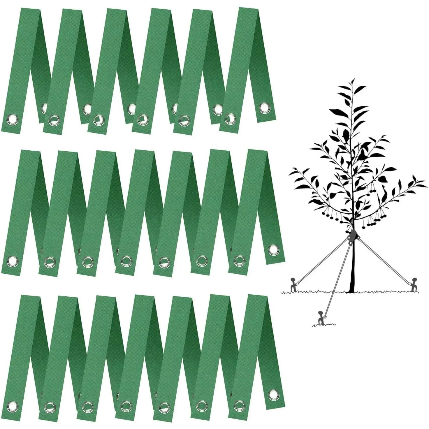 Tree Straps for Staking, 20 PCS Tree Support Straps for Newly Planted Saplings and Hurricane Protection, Tree Straightening Ties Green
