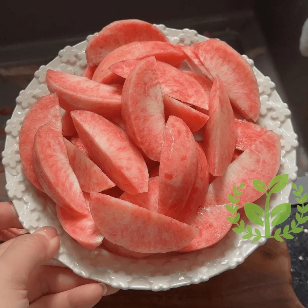 Peach tree seedlings for beginners