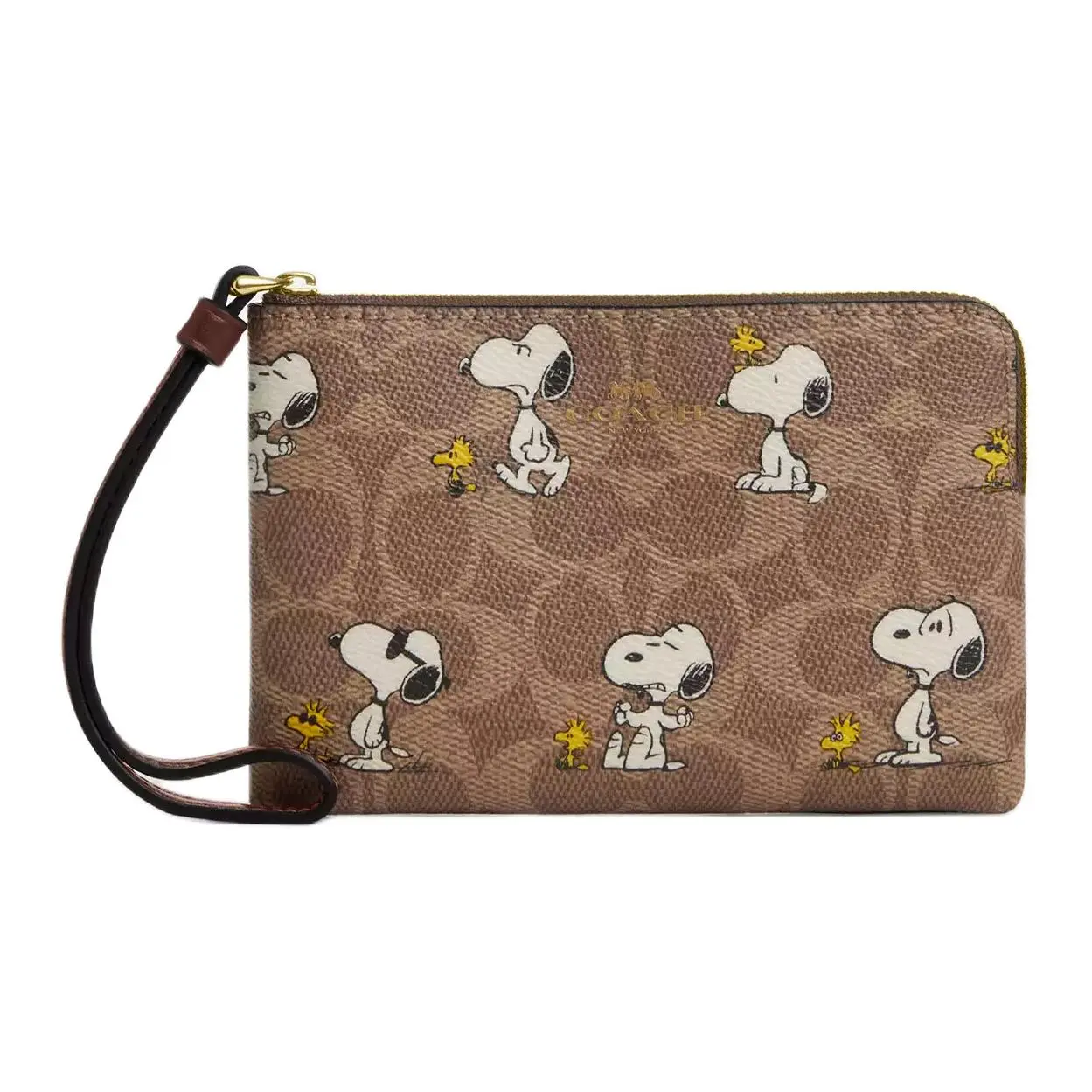 Coach Women's Small Handheld Bag Purse, Coated Canvas Material, Brown with Multicolor Pattern