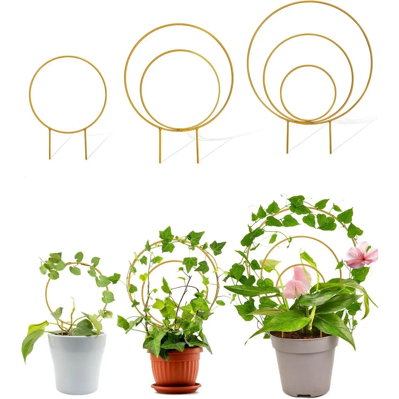 Unique Round Hoya Trellis, 3 Pcs Different Small Houseplant Trellis for Indoor Climbing Plant, Garden Trellis Plant Support for Potted Ivy and Flowers Outdoor(Gold)