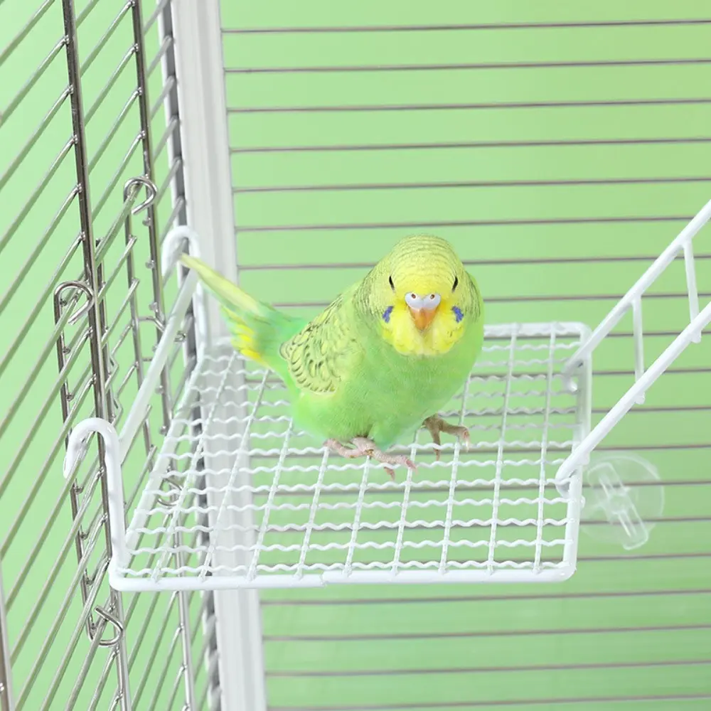 Parrot Interactive Mesh Platform Stand, Climbing Ladder Play Rest Toy, Non-Stainless Steel Bird Mesh Panel