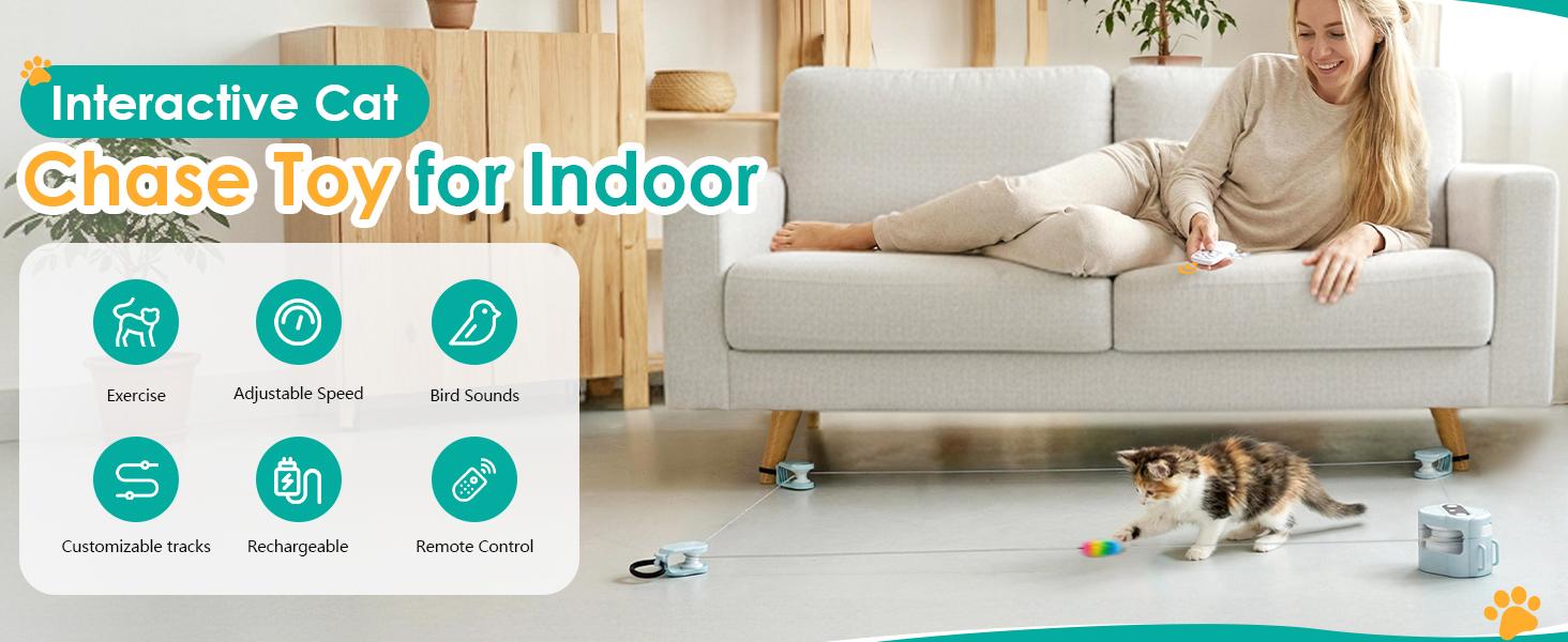 Interactive Cat Toy for Indoor Cats,Electric Remote Control Cat Chaser,Auto/Manual Control DIY Cat Feather Toy Treadmill for Kitten Puppy,Automatic Exercise & Mental Stimulation Cat Toys (Light Blue)