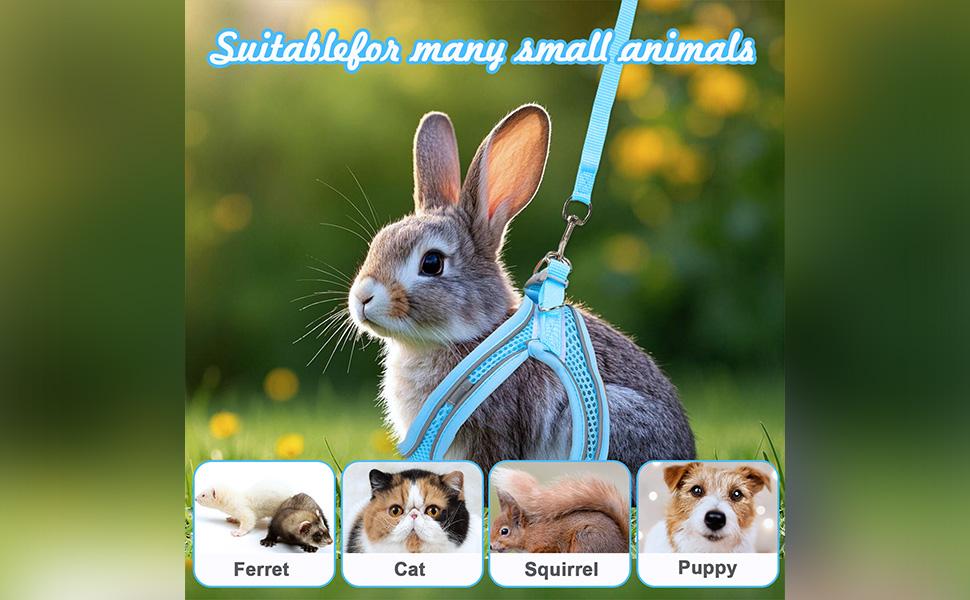 2 Pack Rabbit Harness and Leash Set, Double Buckle Bunnies Harness with Reflective Strips Soft Breathable Mesh Vest Harness for Rabbits Walks Accessories(Blue and Black)