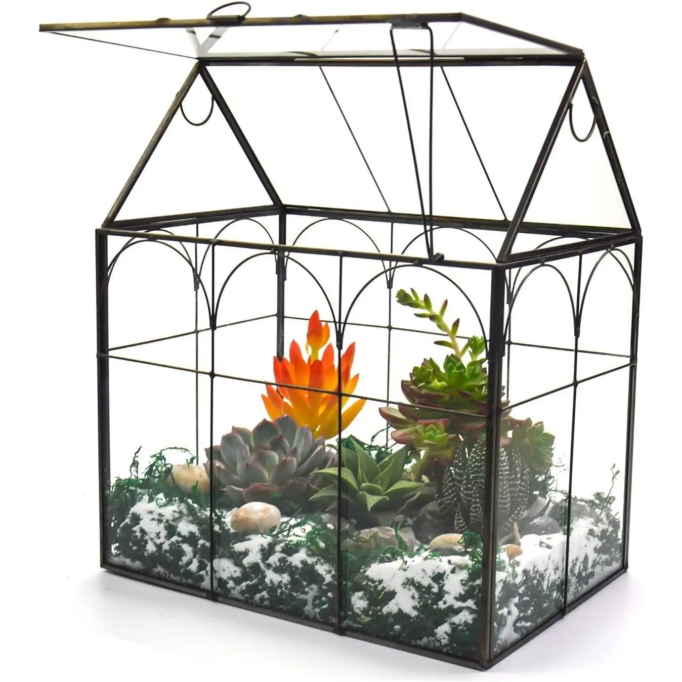 Large Tall  Greenhouse Terrarium Glass with Lid, 8.7"X5.9"X10.6" Inches Indoor Tabletop Orchid Succulent Cacti Terrarium Kit NA (House Black A)