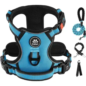 No Pull Dog Harness for Small Dogs, Dog Vest Harness with Leash, Safety Belt and Storage Strap, Fully Adjustable Harness, 360° Reflective Strip, Soft Handle (Blue, S)