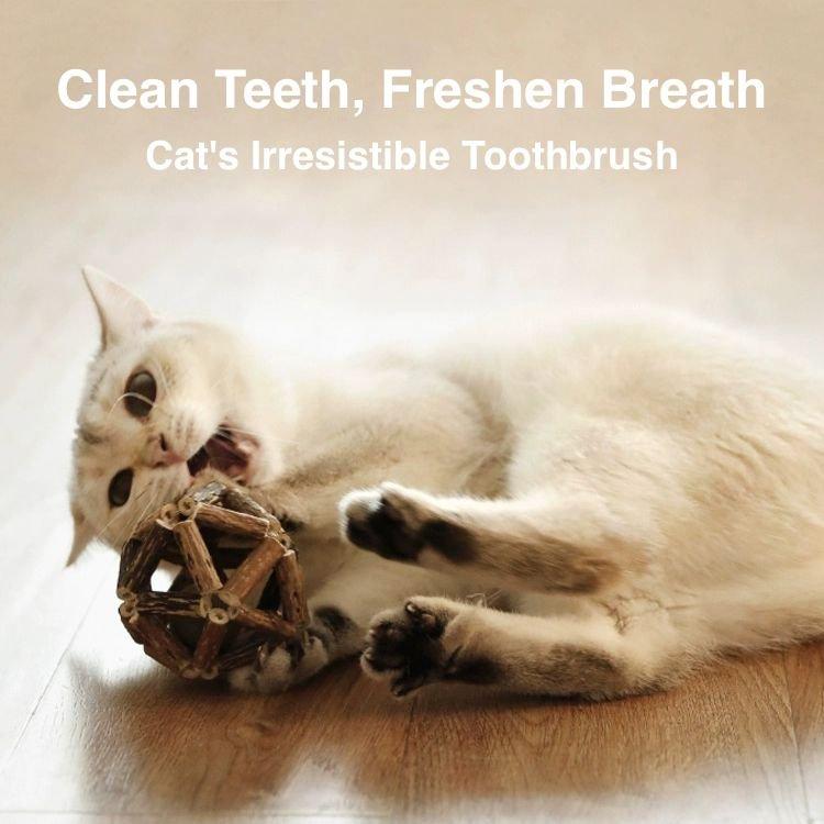 Assorted Silvervine Stick Cage Ball Cat Chew Toy, Brown