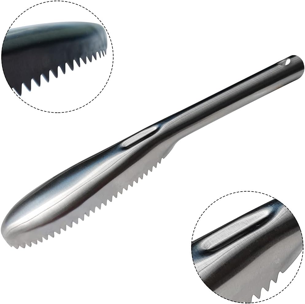 Fish Scaler, 304 Stainless Steel Fish Scaler Remover, Sawtooth Fish Descaler Tool for Family Kitchen, Seafood Markets Scraper Utensils