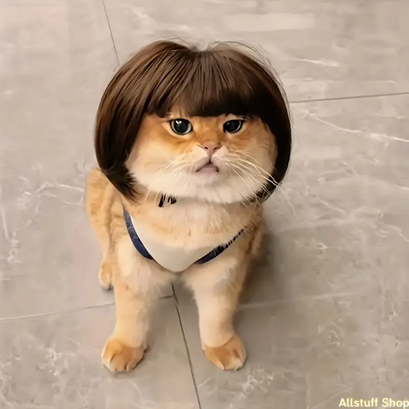 1pc Clip-On Pet Short Hair Wig Addition - Funny Look DIY Luggage & Bag Accessory, Halloween Decoration for Cats & Dogs
