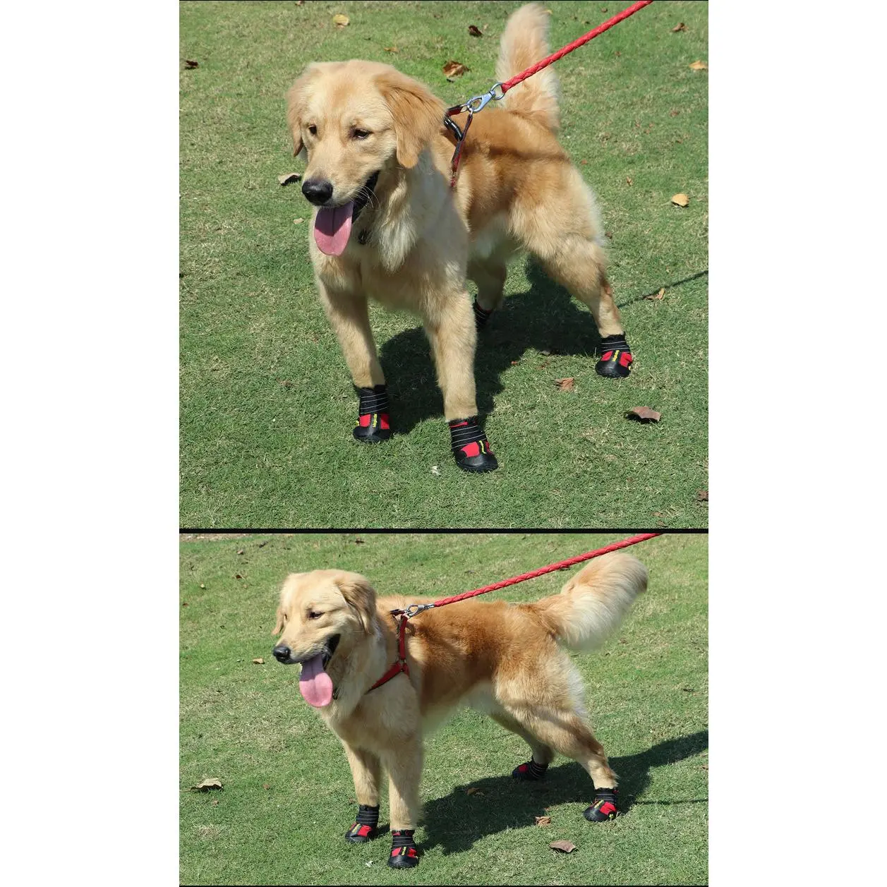 Size 4 Dog Paw Protectors - Breathable Fabric, Rubber Soles, Non-Slip, Waterproof, Reflective Strip, Secure, Comfortable, Durable Booties for Chow Chows - Indoor, Outdoor Hot Pavement Use, Minimalist, Slip Resistance